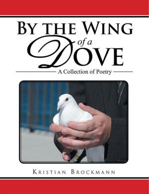 Cover of the book By the Wing of a Dove by Robin Freeman