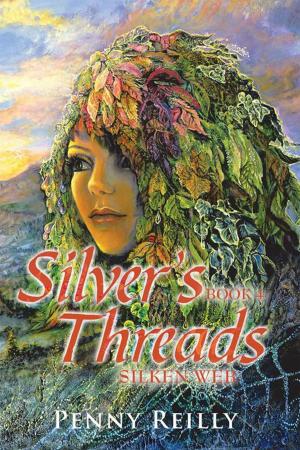 Cover of the book Silver's Threads Book 4 by Johnny Blaze