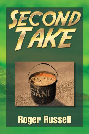 Book cover of Second Take