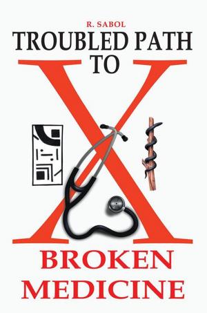 Cover of the book Troubled Path to Broken Medicine by Jerry P. Martinez