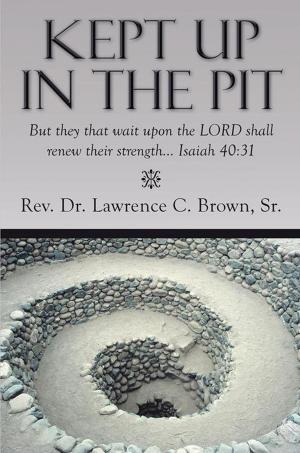Cover of the book Kept up in the Pit by Diana O'Hehir