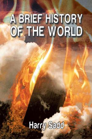 Cover of the book A Brief History of the World by Carlo Ross, Lauren Friesen