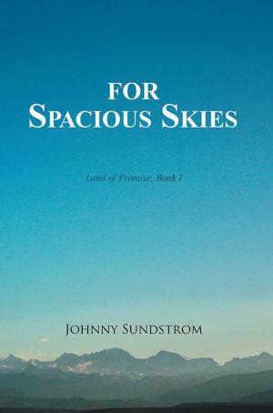 Cover of the book For Spacious Skies by Miranda Zekanovic