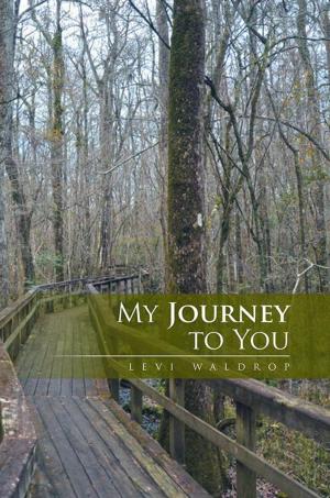 Cover of the book My Journey to You by Button
