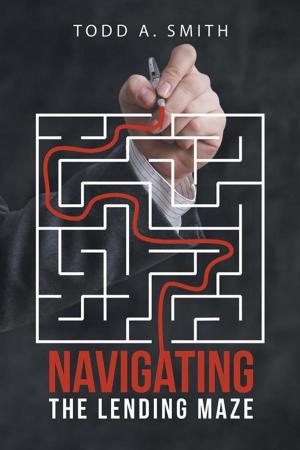 Cover of the book Navigating the Lending Maze by Merritt Abrash