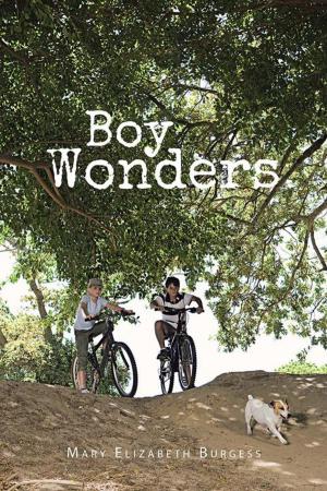 Book cover of Boy Wonders