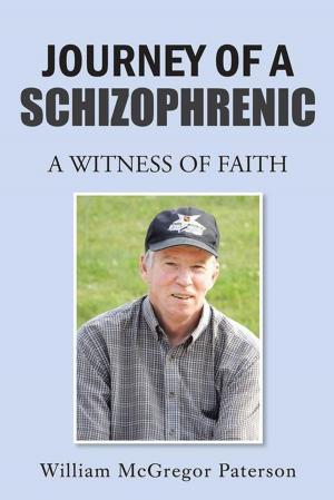 Cover of the book Journey of a Schizophrenic by Ryan Gilbert