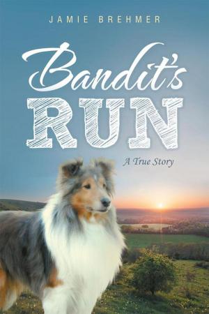 Cover of the book Bandit's Run by Adam D. Brown