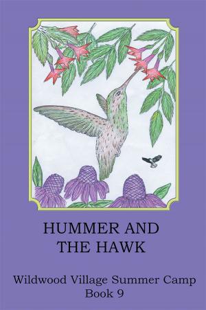 Cover of the book Hummer and the Hawk by Damon R. Matthews MBA