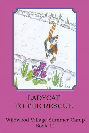 Cover of the book Ladycat to the Rescue by Dr. Josef A. Howard