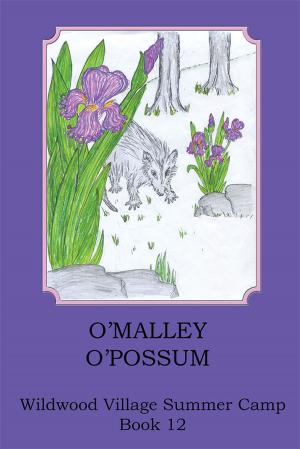 bigCover of the book O'malley O'possom by 