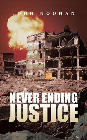 Cover of the book Never Ending Justice by Jerry Belvo