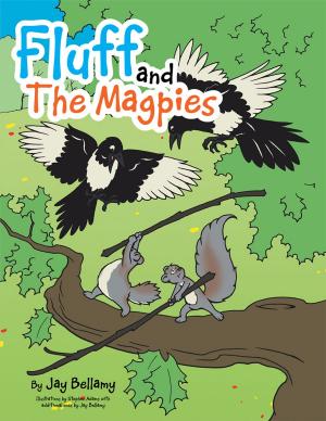 Cover of the book Fluff and the Magpies by R.A. Wise