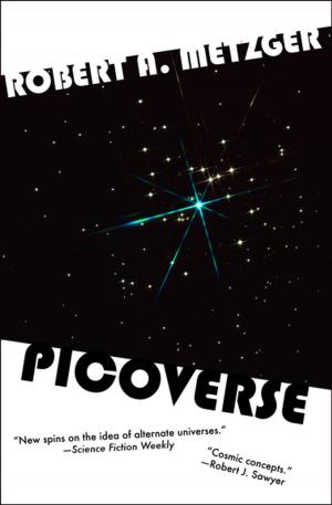 Cover of the book Picoverse by Shirley Kennett