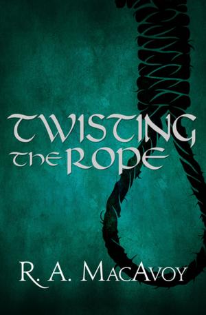 Cover of the book Twisting the Rope by Nancy Springer