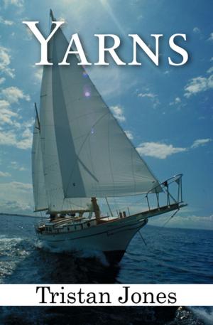 Cover of the book Yarns by Timothy Zahn