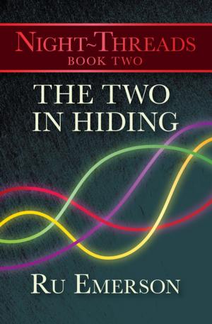 Cover of the book The Two in Hiding by Catherine Aird