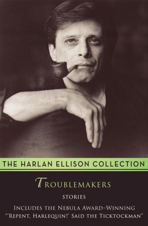 Book cover of Troublemakers