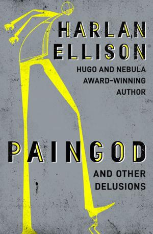 Cover of the book Paingod by Dorothy Salisbury Davis