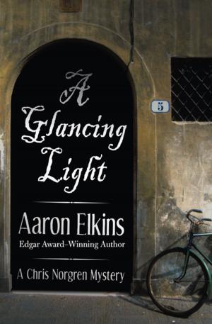 Cover of the book A Glancing Light by Barbara Raskin