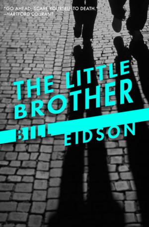 Cover of the book The Little Brother by Linda Davies