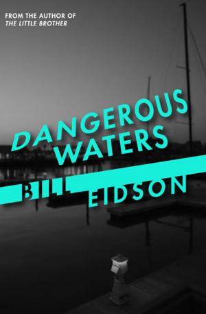 Cover of the book Dangerous Waters by Evelyn Anthony