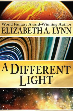 Cover of the book A Different Light by Jens Fitscher