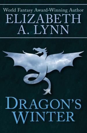 Cover of the book Dragon's Winter by Eddie Gubbins