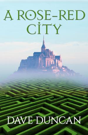 Cover of the book A Rose-Red City by Marge Piercy