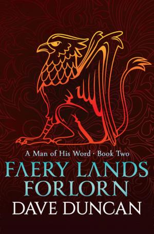 bigCover of the book Faery Lands Forlorn by 