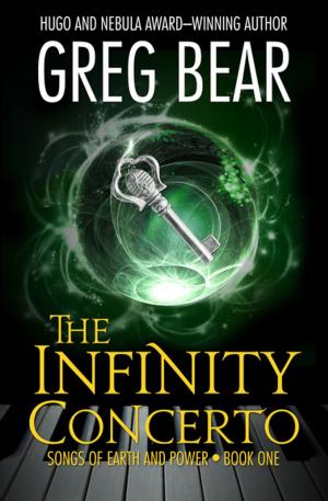 Cover of the book The Infinity Concerto by Peter Bowen