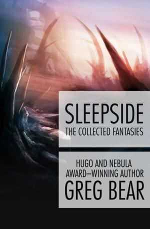 Cover of the book Sleepside by Iris Murdoch