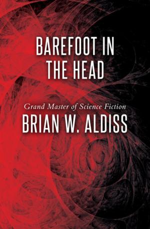 Cover of the book Barefoot in the Head by Michael P. Spradlin