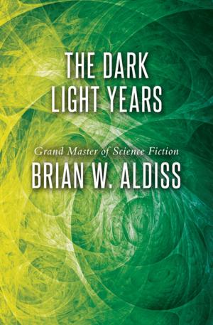 Cover of the book The Dark Light Years by Orr Kelly