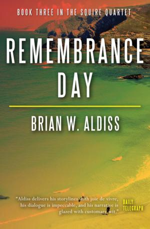 Cover of the book Remembrance Day by Christopher Bram