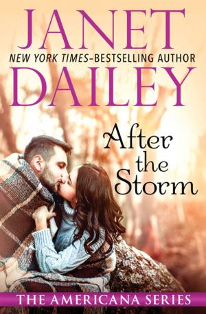 Cover of the book After the Storm by Dorothy Salisbury Davis