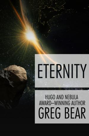 Cover of the book Eternity by William Hjortsberg