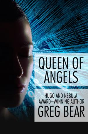 Cover of the book Queen of Angels by J Ash