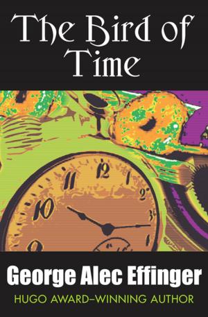 Book cover of The Bird of Time