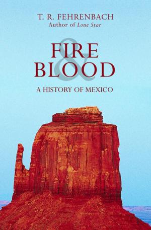 Cover of the book Fire & Blood by Susan Beth Pfeffer