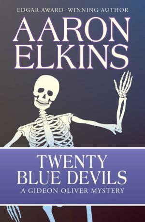 Cover of the book Twenty Blue Devils by Kerry Newcomb, Frank Schaefer