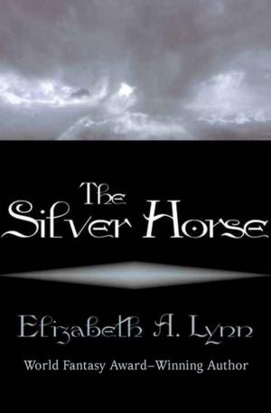 Cover of the book The Silver Horse by Elle J Rossi