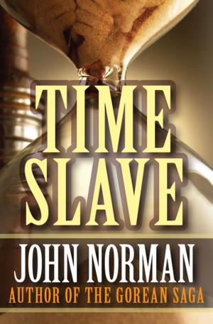bigCover of the book Time Slave by 