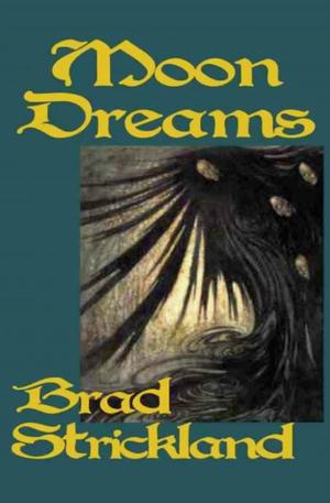 Cover of the book Moon Dreams by Erica Jong