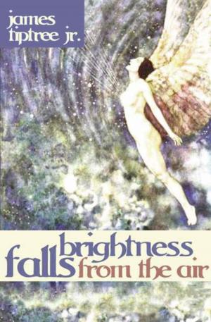 Book cover of Brightness Falls from the Air