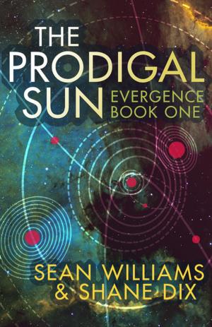 Cover of the book The Prodigal Sun by Katherine Neville