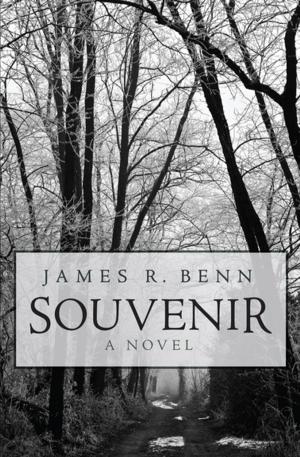 Cover of the book Souvenir by KM Lennon