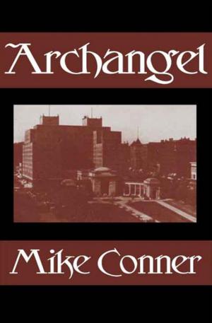 Cover of the book Archangel by Susan Shwartz