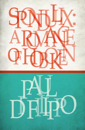Cover of the book Spondulix by Robert Kinerk
