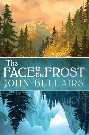 Cover of the book The Face in the Frost by Jennifer Wilde